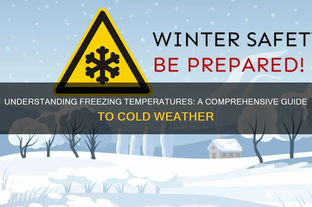 what are the freezing temperatures