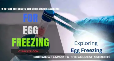Unlocking Opportunities: Grants and Scholarships for Egg Freezing