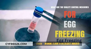Ensuring Excellence: Quality Control in Egg Freezing Procedures