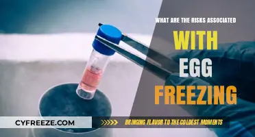 Considering Egg Freezing? Understand the Potential Risks Involved