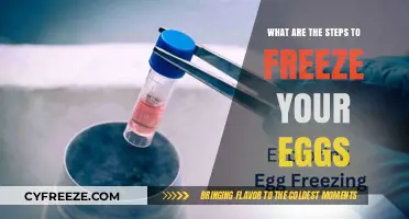 Preserving Your Future: A Guide to Freezing Your Eggs