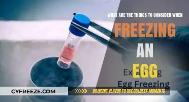 Egg-Freezing Essentials: Key Considerations for Future Fertility