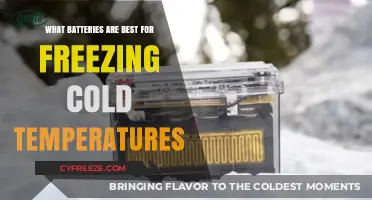 Best Cold-Weather Batteries: Top Performers in Freezing Temperatures
