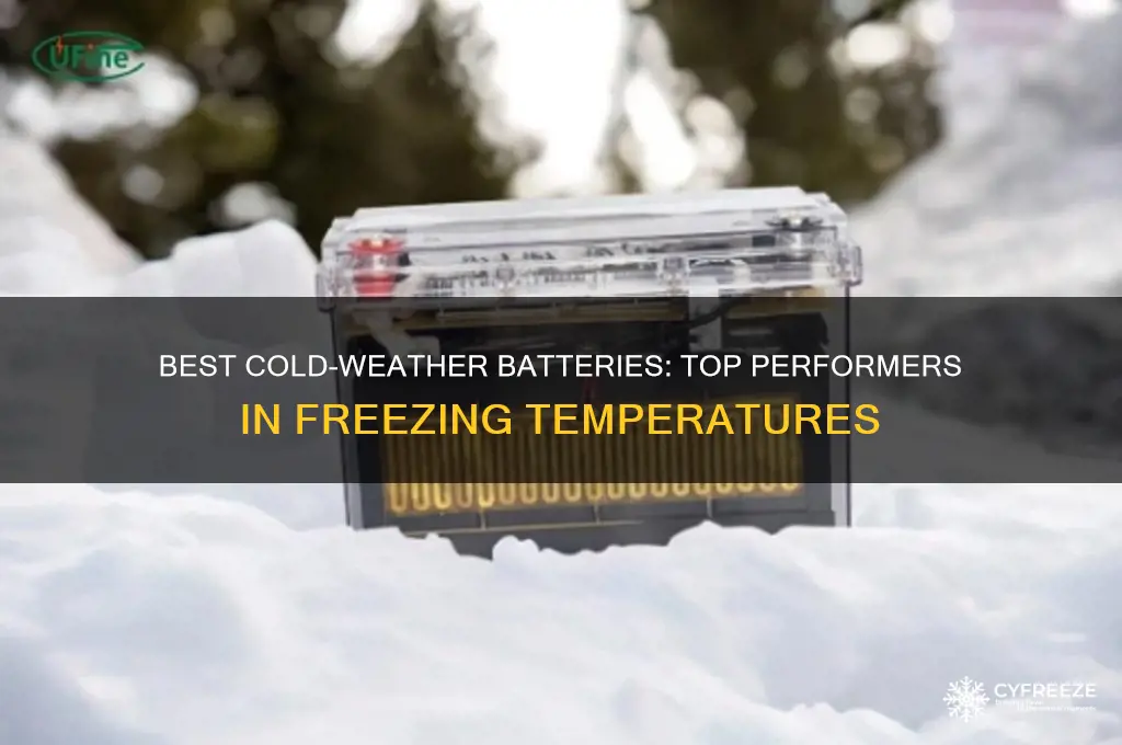 what batteries are best for freezing cold temperatures