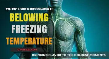 How Sub-Zero Temperatures Strain Your Body's Vital Systems