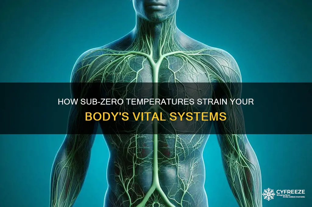 what body system is being challenged by belowing freezing temperature