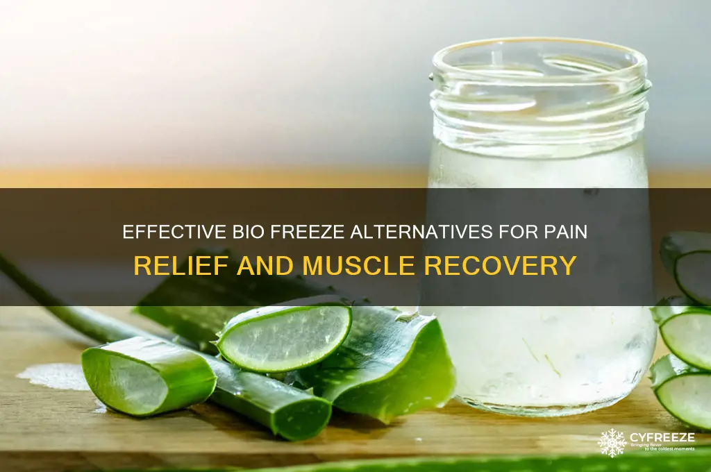 what can i use instead of bio freeze
