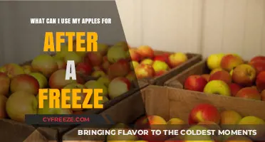Post-Freeze Apple Ideas: Creative Uses for Frost-Touched Fruits