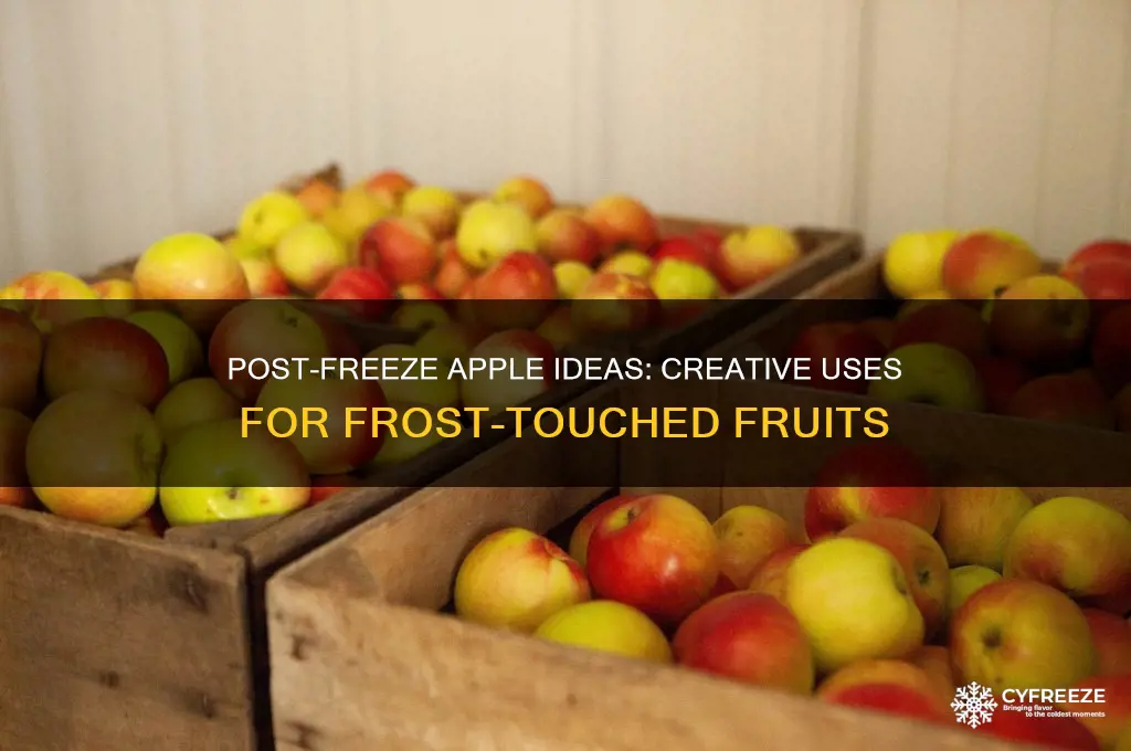 what can i use my apples for after a freeze