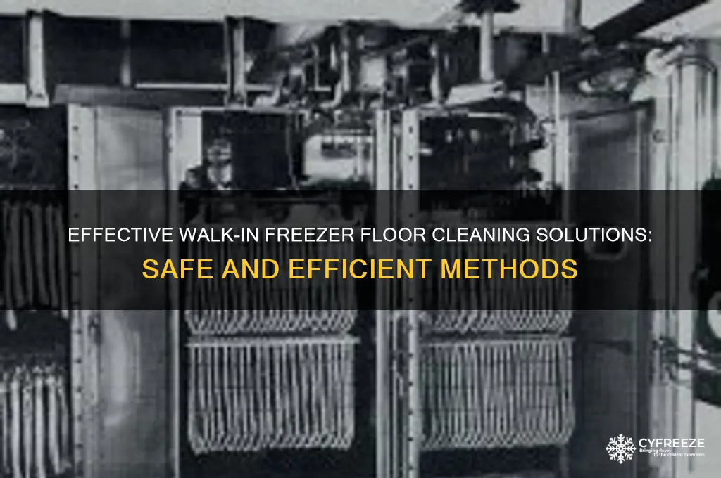 what can i use to clean a walk-in freezer floor