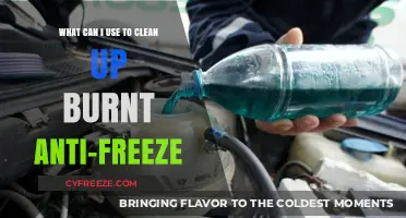 Effective Solutions for Cleaning Up Burnt Anti-Freeze Safely and Easily