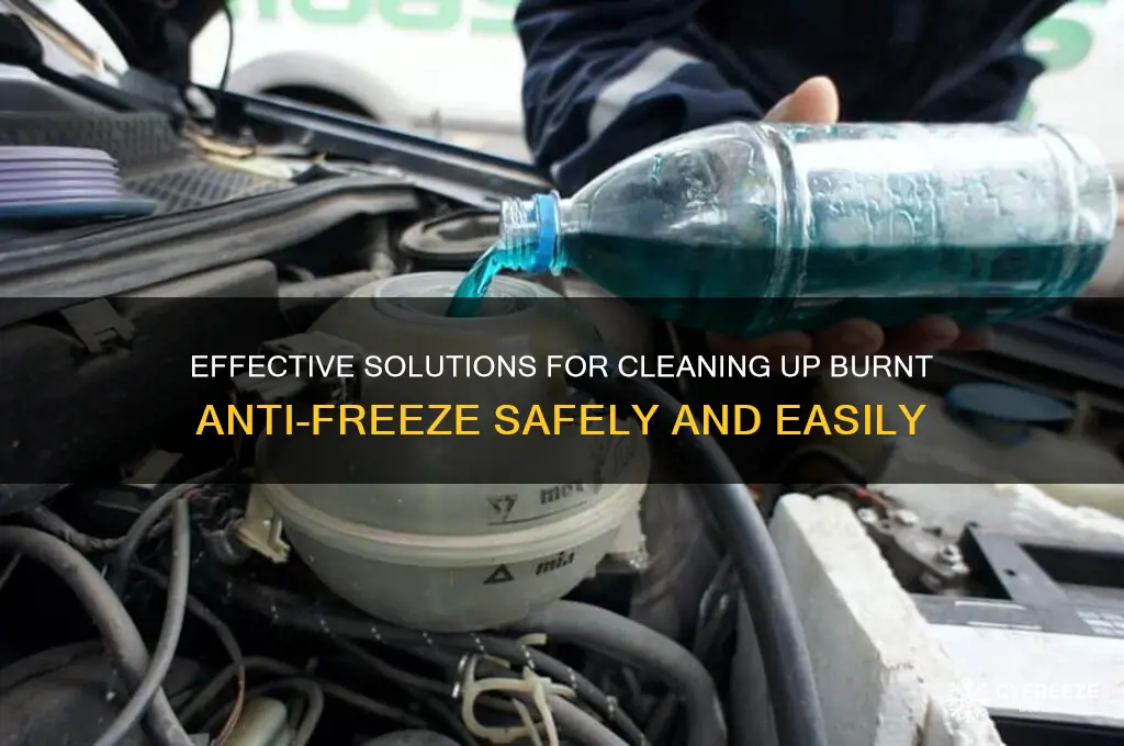 what can i use to clean up burnt anti-freeze