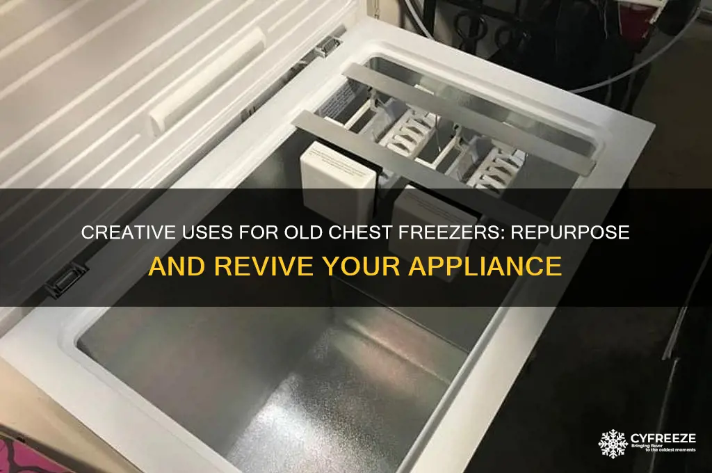 what can old chest freezer be used for