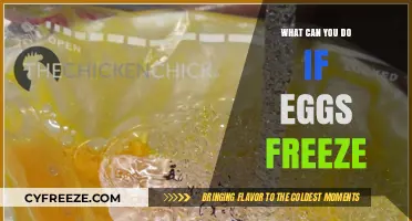 Egg-cellent Solutions: Thawing Frozen Eggs for Delicious Meals