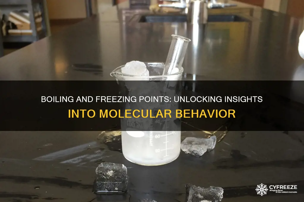 what can you infer about the boiling point freezing point