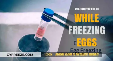 Mistakes to Avoid When Freezing Eggs for Future Use