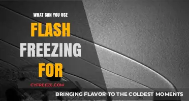 Unlocking Flash Freezing: Creative Uses for Food Preservation and Beyond