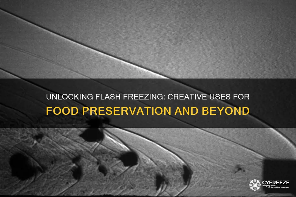 what can you use flash freezing for