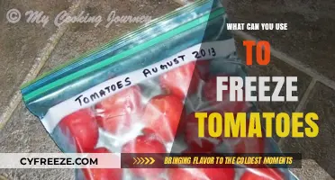 Best Methods and Tools for Freezing Tomatoes at Home