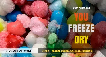 Sweet Preservation: Exploring the World of Freeze-Dried Candies