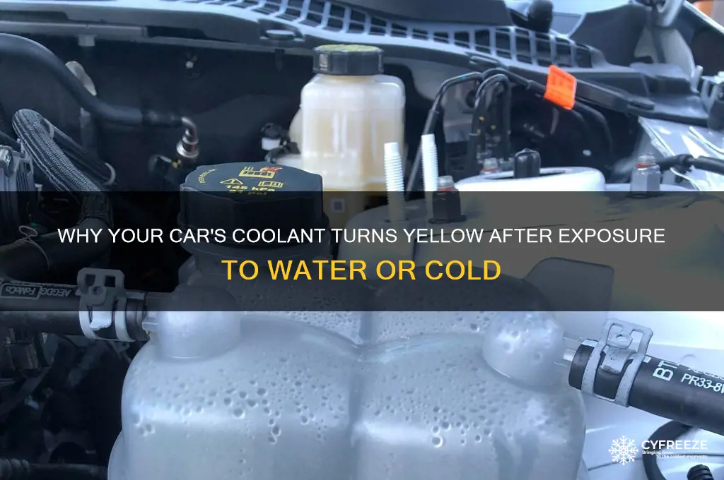 what car fluid turns yellow after getting wet or freezing