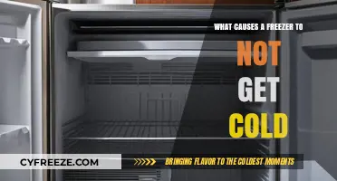 Why Your Freezer Isn't Cooling: Common Causes and Fixes