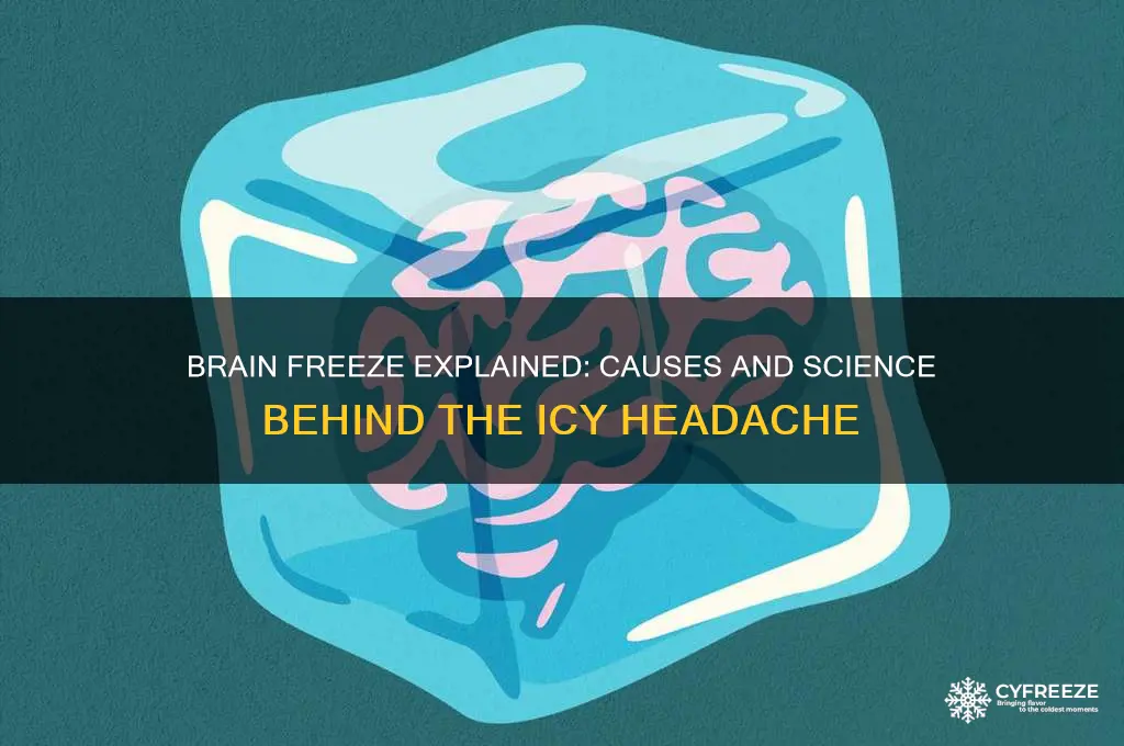 what causes a person to get brain freeze