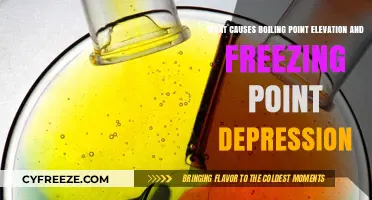 Understanding Colligative Properties: Boiling Point Elevation and Freezing Point Depression