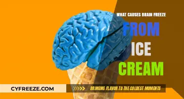 The Chill Shock: Exploring the Science Behind Ice Cream Brain Freeze