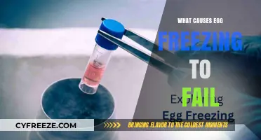 Unraveling the Mysteries: Why Egg Freezing Sometimes Fails