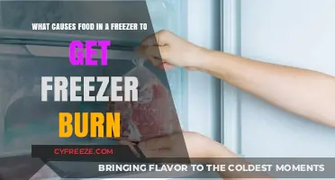 Understanding Freezer Burn: Causes and Prevention for Frozen Food
