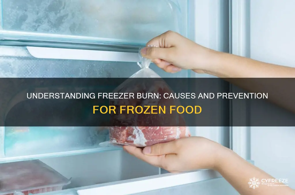 what causes food in a freezer to get freezer burn