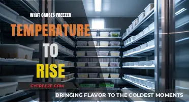 Why Your Freezer Temperature Rises: Common Causes and Fixes