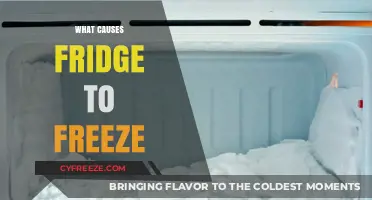 Chill Factor: Unraveling the Mystery Behind Your Freezing Fridge