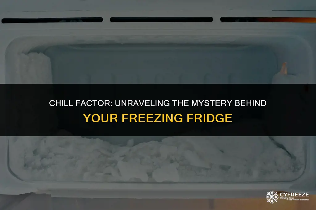 what causes fridge to freeze