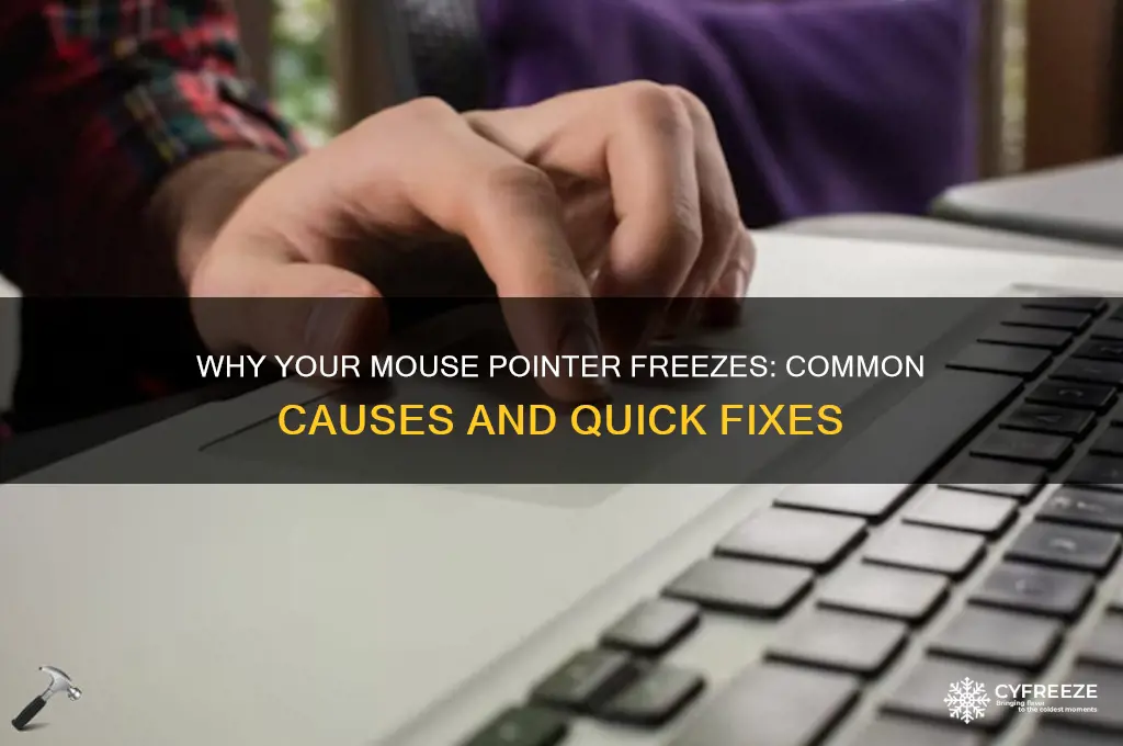 what causes mouse pointer to freeze