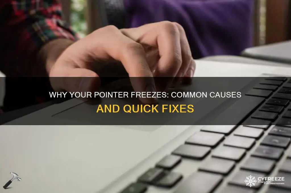 what causes pointer to freeze