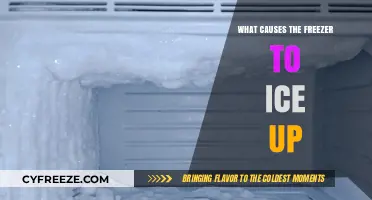 Chill Issues: Unraveling the Mystery of Freezer Ice Buildup