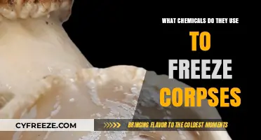 Unveiling the Chemicals Used in Corpse Preservation and Freezing Techniques