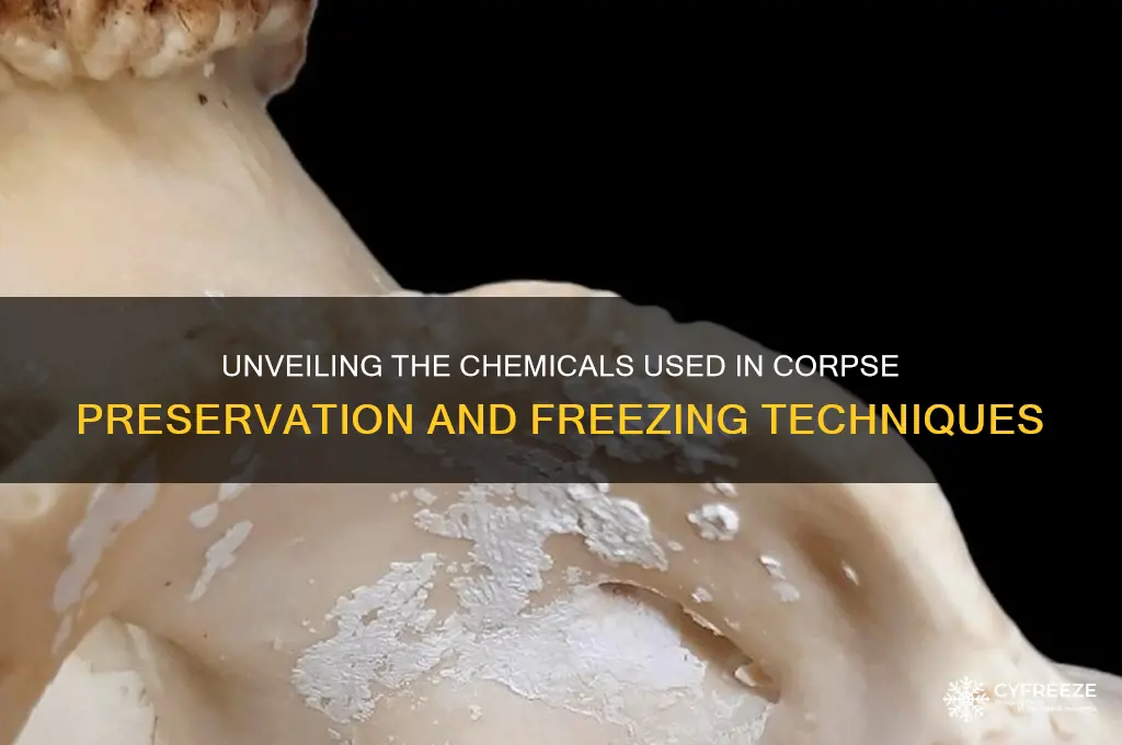 what chemicals do they use to freeze corpses