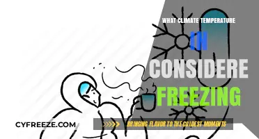 Understanding Freezing Temperatures: What Degrees Mark the Climate as Cold?