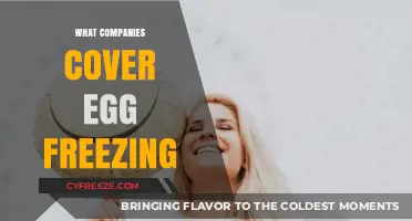Egg Freezing Benefits: Which Companies Lead the Way?