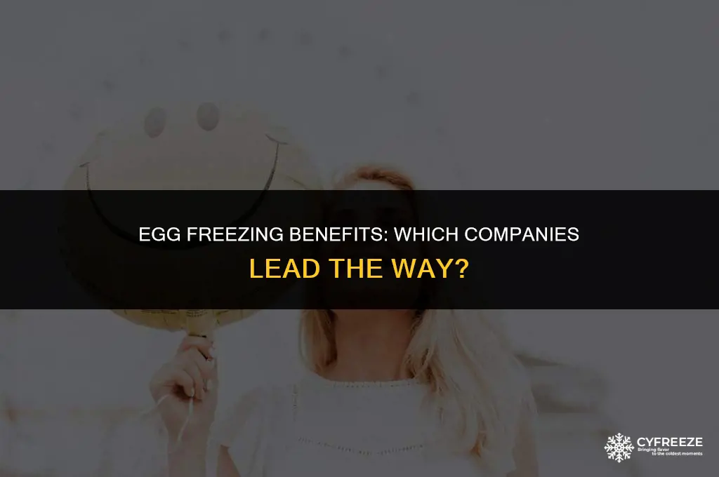 what companies cover egg freezing