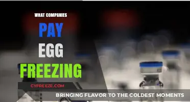 Egg Freezing Benefits: Which Companies Lead the Way?