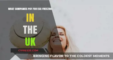 Egg Freezing Benefits: Which UK Companies Offer This Perk?