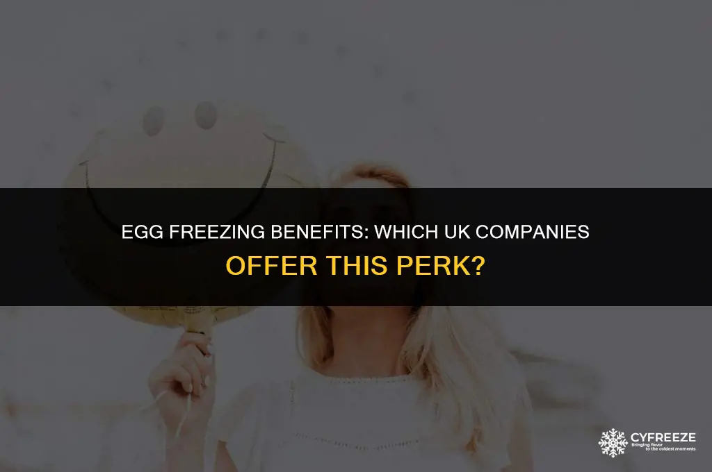 what companies pay for egg freezing in the uk