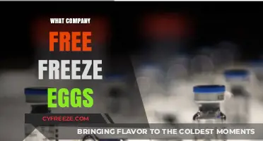 Egg-Freezing Benefits: Which Companies Offer This Perk?