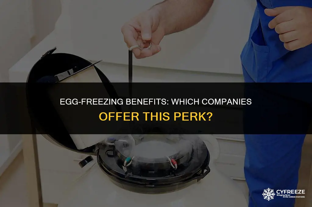 what company free freeze eggs