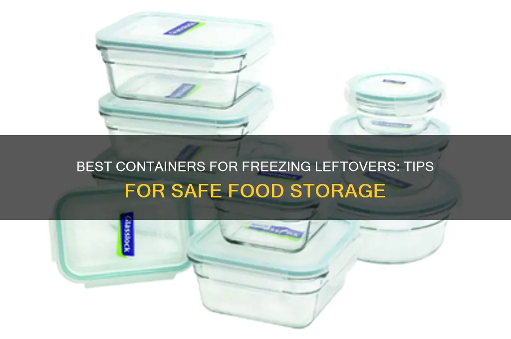 what container to use to freeze leftover