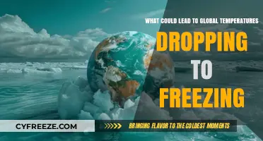 Global Cooling: Factors That Could Trigger a Freezing Earth